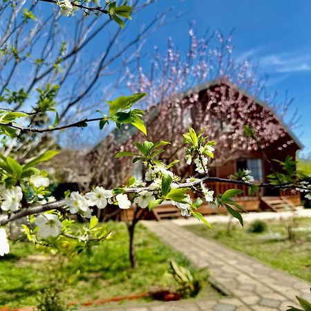 Sweet Village Ckaltubo Zewnętrze zdjęcie