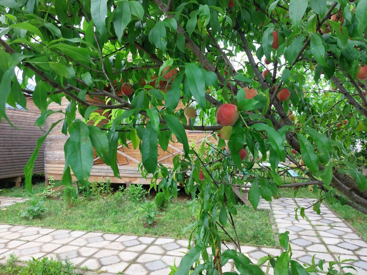 Sweet Village Ckaltubo Zewnętrze zdjęcie