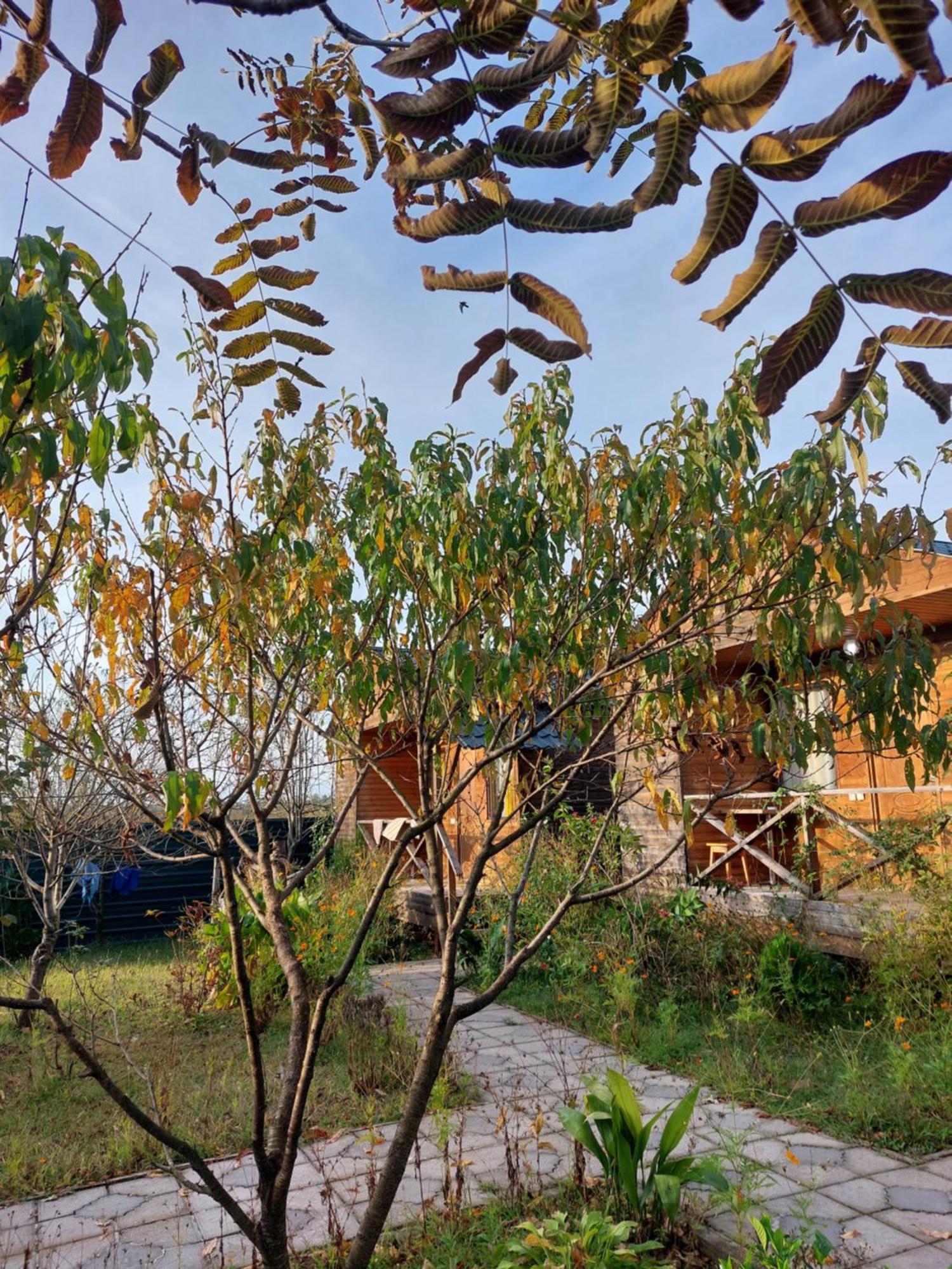 Sweet Village Ckaltubo Zewnętrze zdjęcie