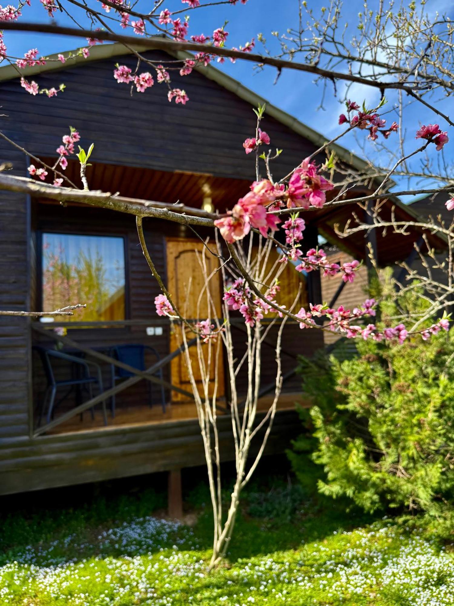 Sweet Village Ckaltubo Zewnętrze zdjęcie